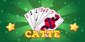 cach choi bai catte 1