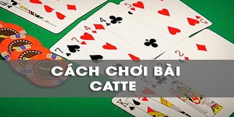 Cách Chơi Bài Catte Fun88 Với Bí Quyết Thắng Ăn Thưởng Lớn 3 Luật cơ bản trong cách chơi bài Catte