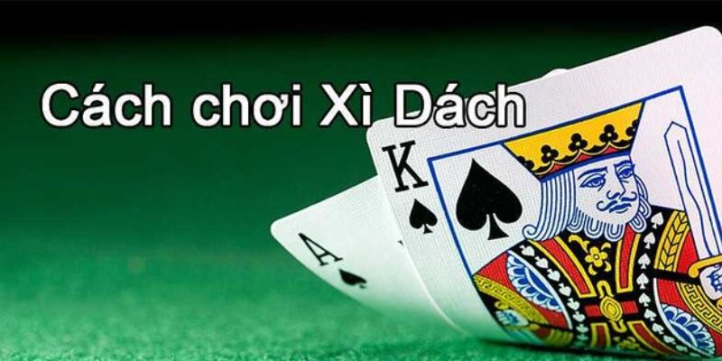 Cách Chơi Bài Xì Dách - Luật Tham Gia, Mẹo Chơi Tại Fun88 1 Cách Chơi Bài Xì Dách - Luật Tham Gia, Mẹo Chơi Tại Fun88